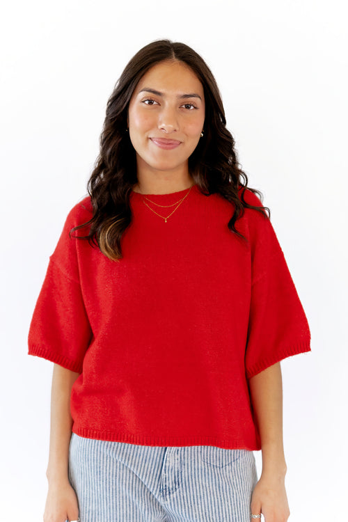 Renee Crew Neck Sweater  ⤫ Restocked