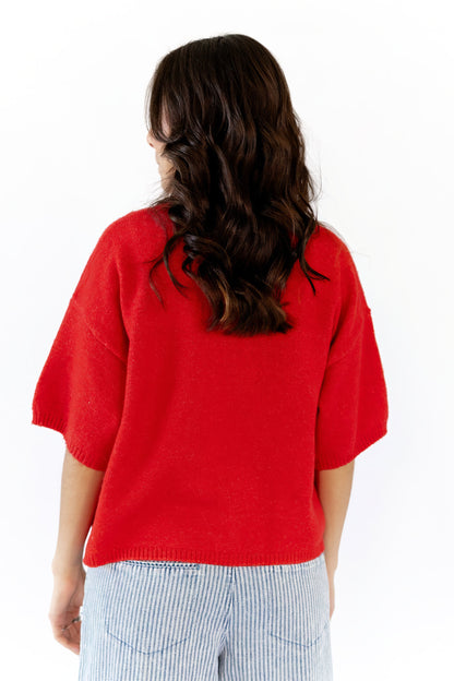Renee Crew Neck Sweater  ⤫ Restocked