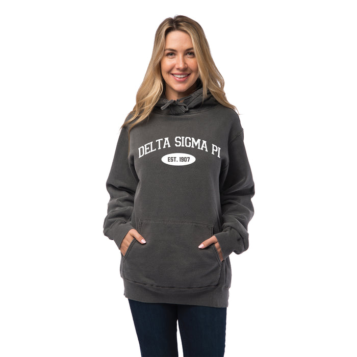 Delta Sigma Pi Hooded Pullover Vintage Sweatshirt