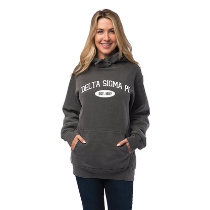 Delta Sigma Pi Hooded Pullover Vintage Sweatshirt