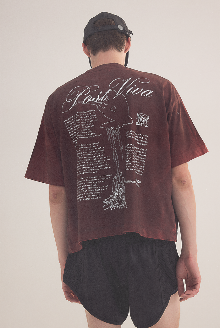 HUNTER BOXY TEE - BLOOD