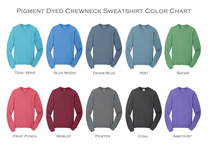 Zeta Psi Beach Washed Crewneck Sweatshirt